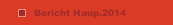 Bericht Haup.2014