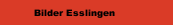 Bilder Esslingen