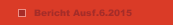 Bericht Ausf.6.2015