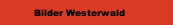 Bilder Westerwald