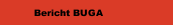 Bericht BUGA